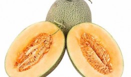 新疆网红吃哈密瓜视频,甜蜜滋味引网友热议